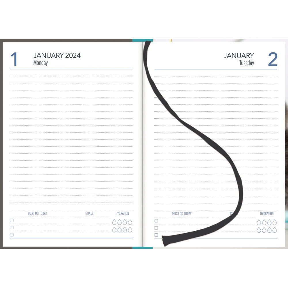 Collins A51 Cats & Dogs Day to Page Diary Even Year