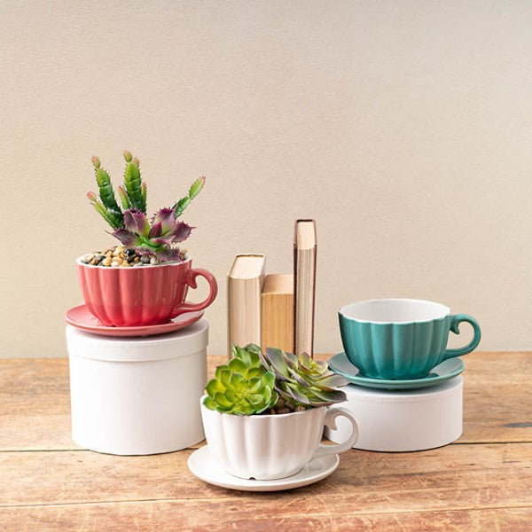 Vase /Planter - Ceramic Tea Cup Pot Saucer Drainage Hole Pink