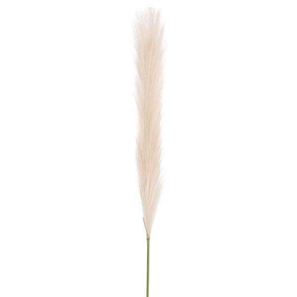 Artifcal Flower / Foliage - Single Stem Pampas Spray Cream