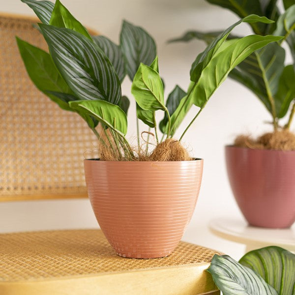 Vase /Planter - Flora Stripe Pot Round Terracotta Orange
