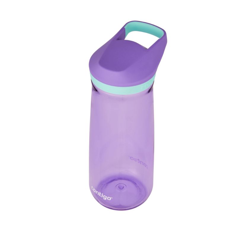 Contigo Bottle - Kids/Tweenies Micah Jade (591ml)
