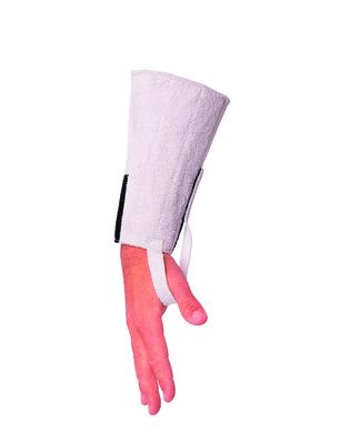 Wrist Guard (Pair) - Standard - L