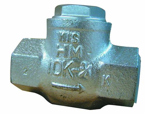 Lift Check Valve Malleable Iron- Screwed 20mm