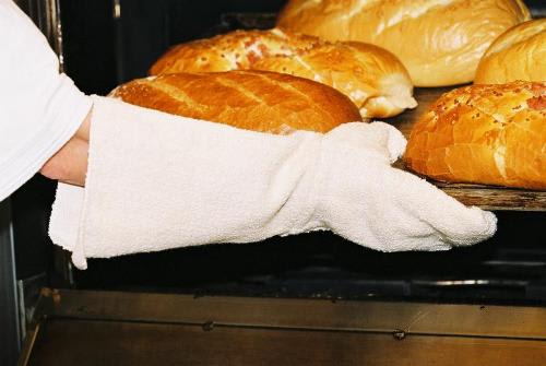 Terry Knit Glove, 60cm (Pair)
