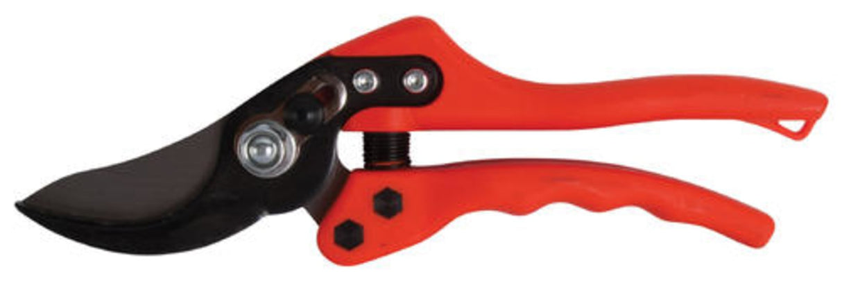 Lightweight and durable secateurs with ergonomic handles for precise cutting in gardening tasks. Ideal for all skill levels.