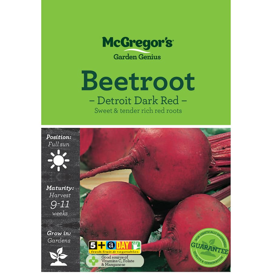 Mcgregors Vegetable Seeds Beetroot Detroit Dark Red