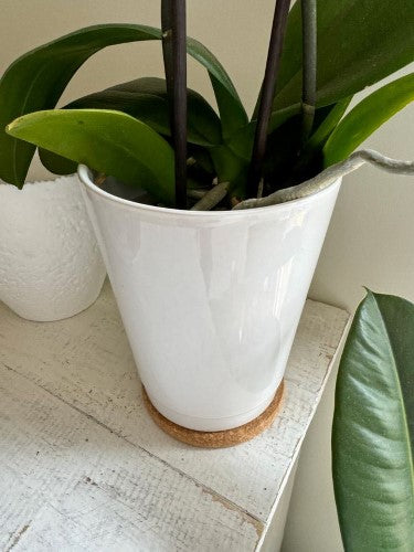 Plant Coaster - Cork 10cm (Set of 12)