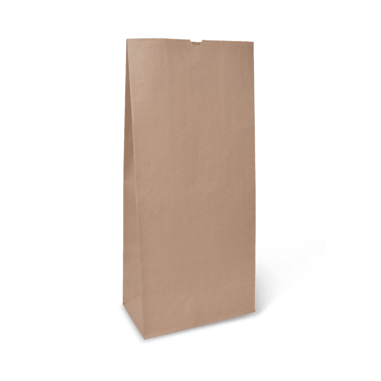 Detpak Heavy Duty Block Bottom #6 Paper Bag 255x140x470mm 200 (Case)
