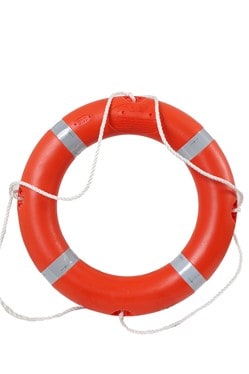 Lifebuoy - Round 4.3kg (Each)