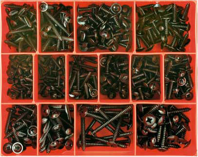 Champion Self Tapping Screw Assortment 415 piece