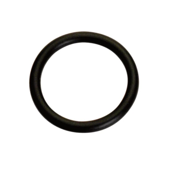 Champion 15/16in (I.D.) x 1/8in Imperial O-Ring-10 Pack (Packet)