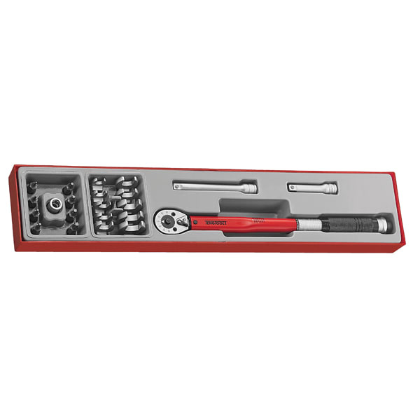 Teng 3/8"Dr.Torque Wrench Set 20-100Nm TTX-Tray 22 Piece