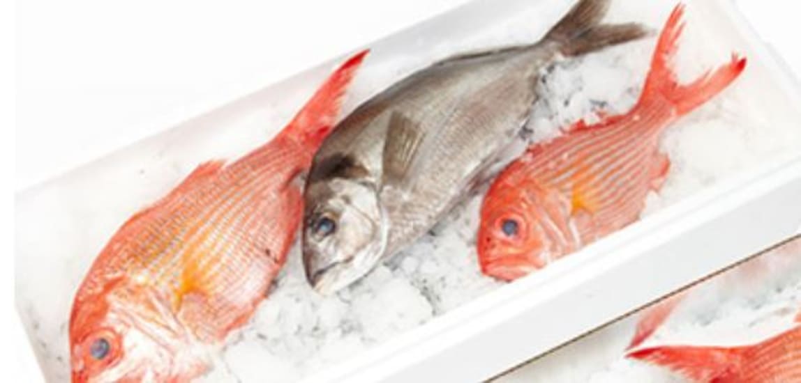 Versatile Snapper Box and Lid, 545x415x170mm, ideal for secure storage of tools, supplies, or food with airtight seal.