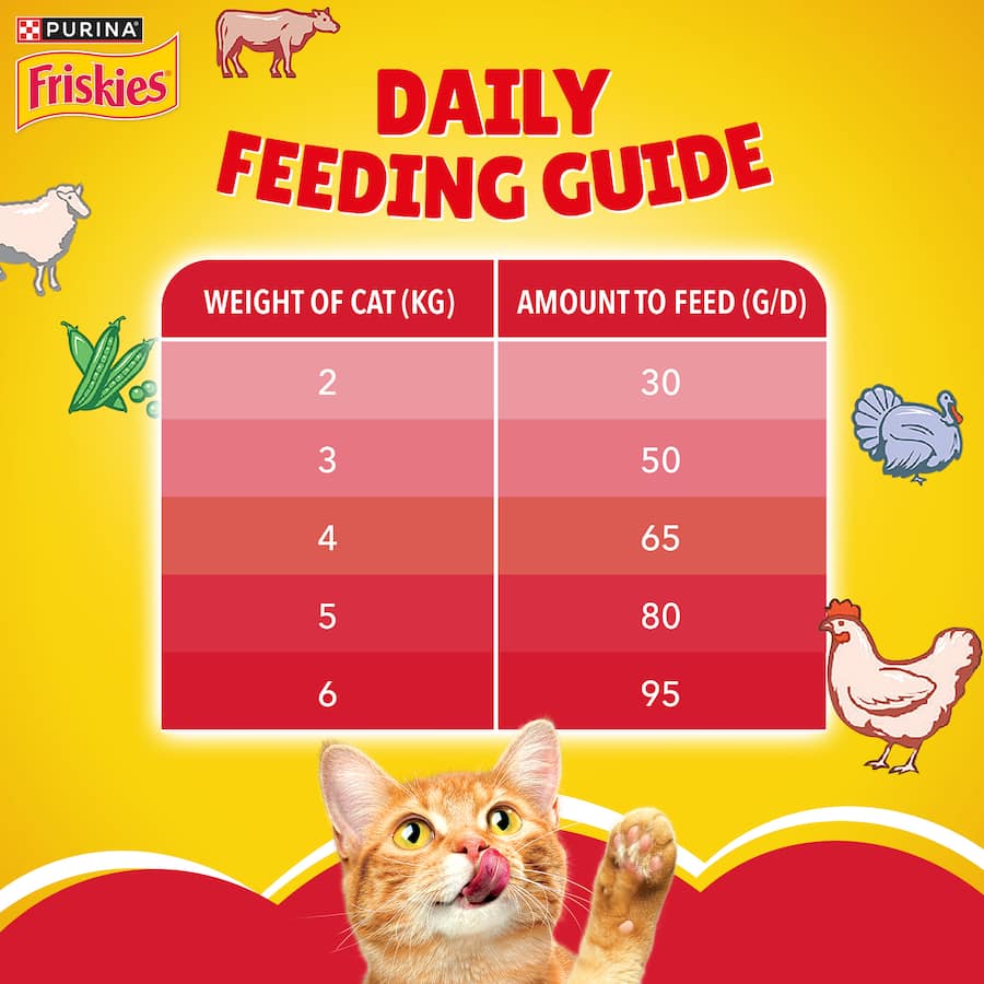 Friskies Dry Cat Food Meaty Grills Bag 700g