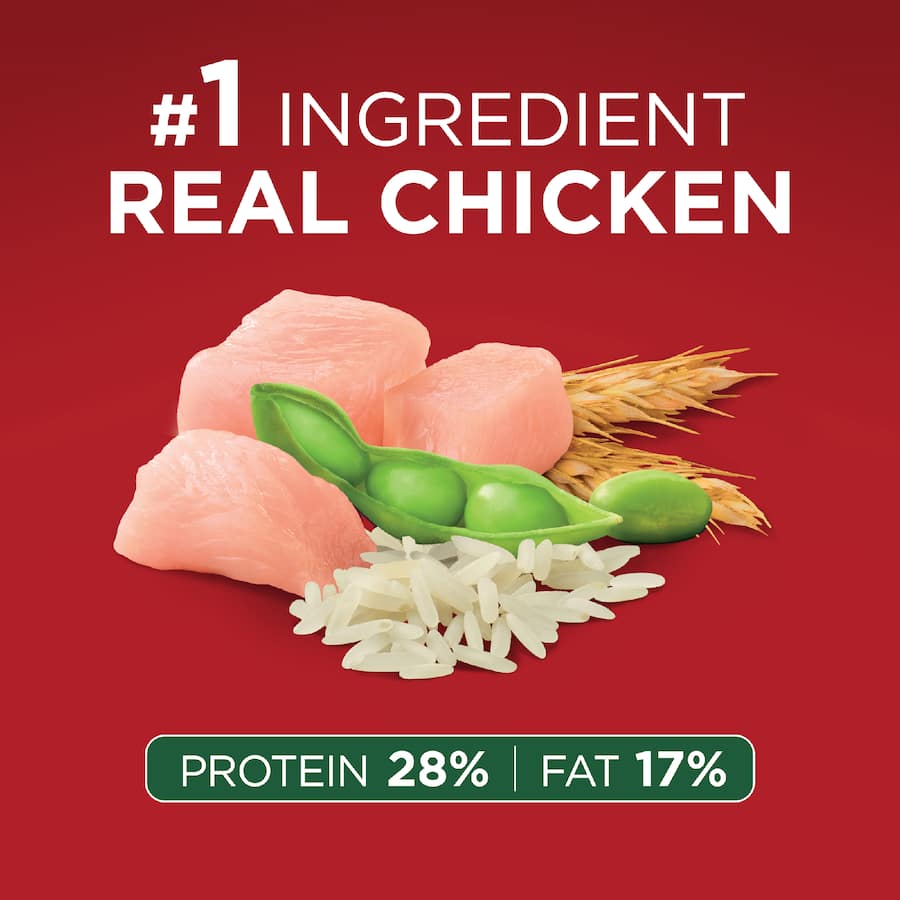 Purina One Small Breed Adult Dry Dog Food Chicken Bag 2.5kg