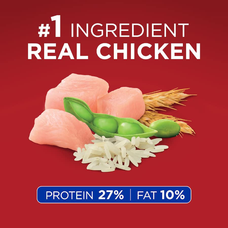 Purina One Healthy Weight Dry Dog Food Chicken Bag 2.5kg