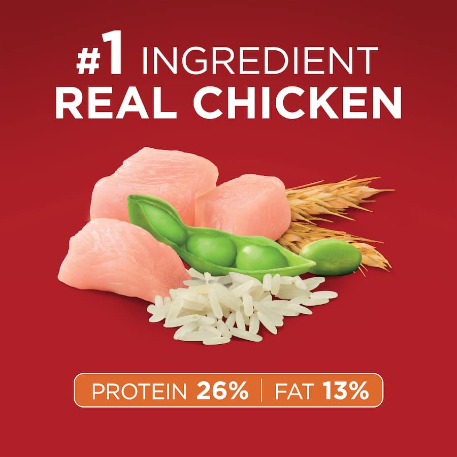 Purina One Adult Dry Dog Food Chicken & Rice Bag 6kg