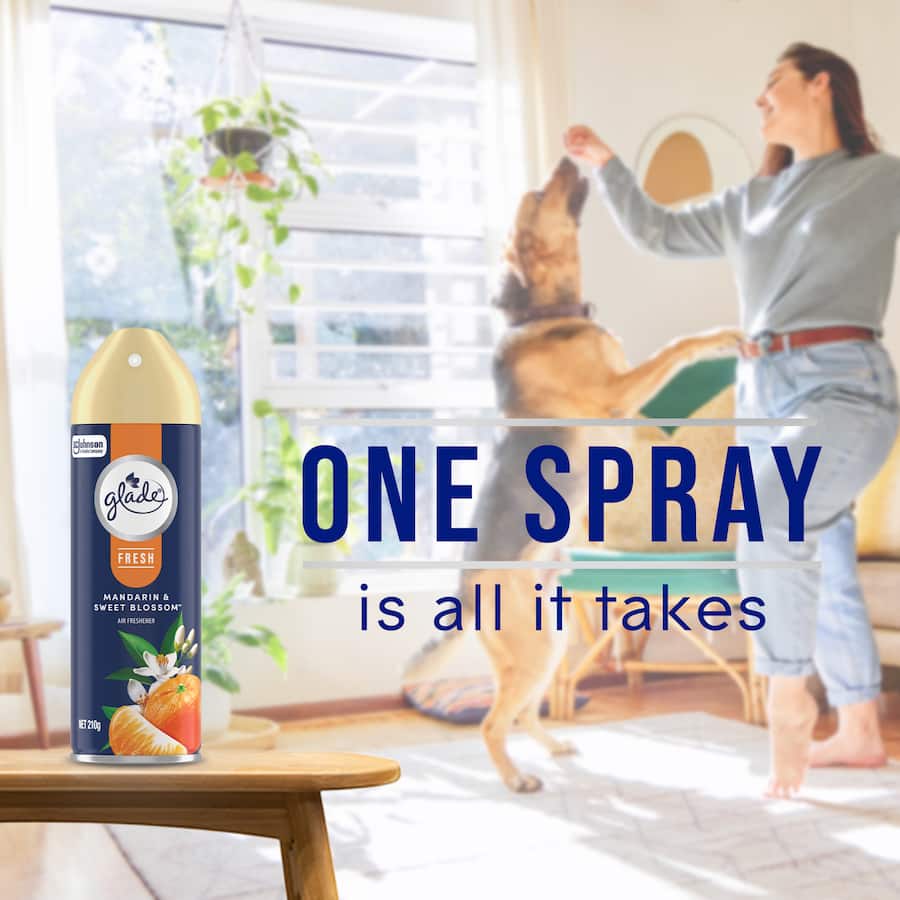 Glade Air Freshener Fresh Mandarin & Blossom 210g