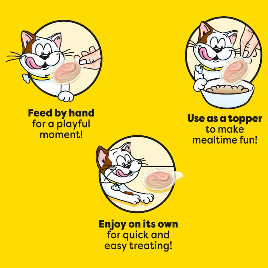 Temptations Creamy Spoons Cat Treats Chicken & Salmon 4x10g