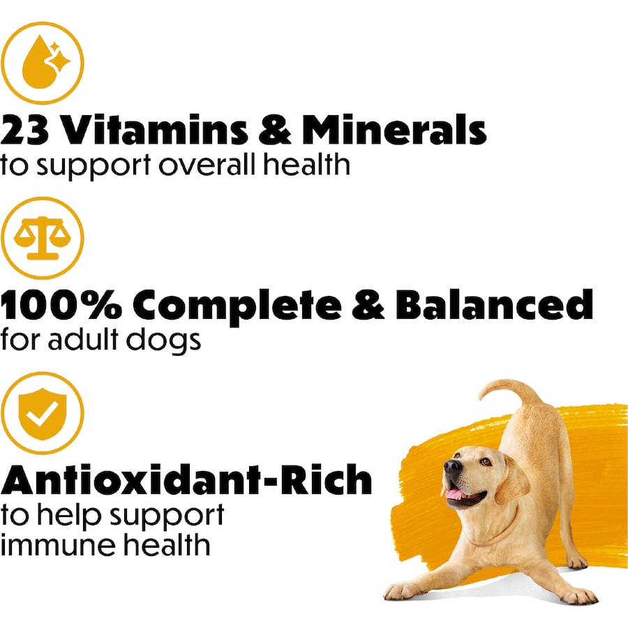 Purina Beneful Dry Dog Food Chicken Bag 1.59kg