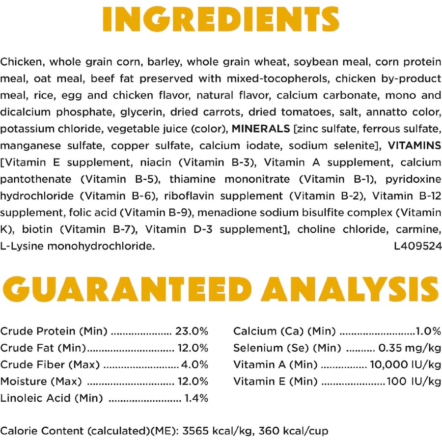 Purina Beneful Dry Dog Food Chicken Bag 1.59kg