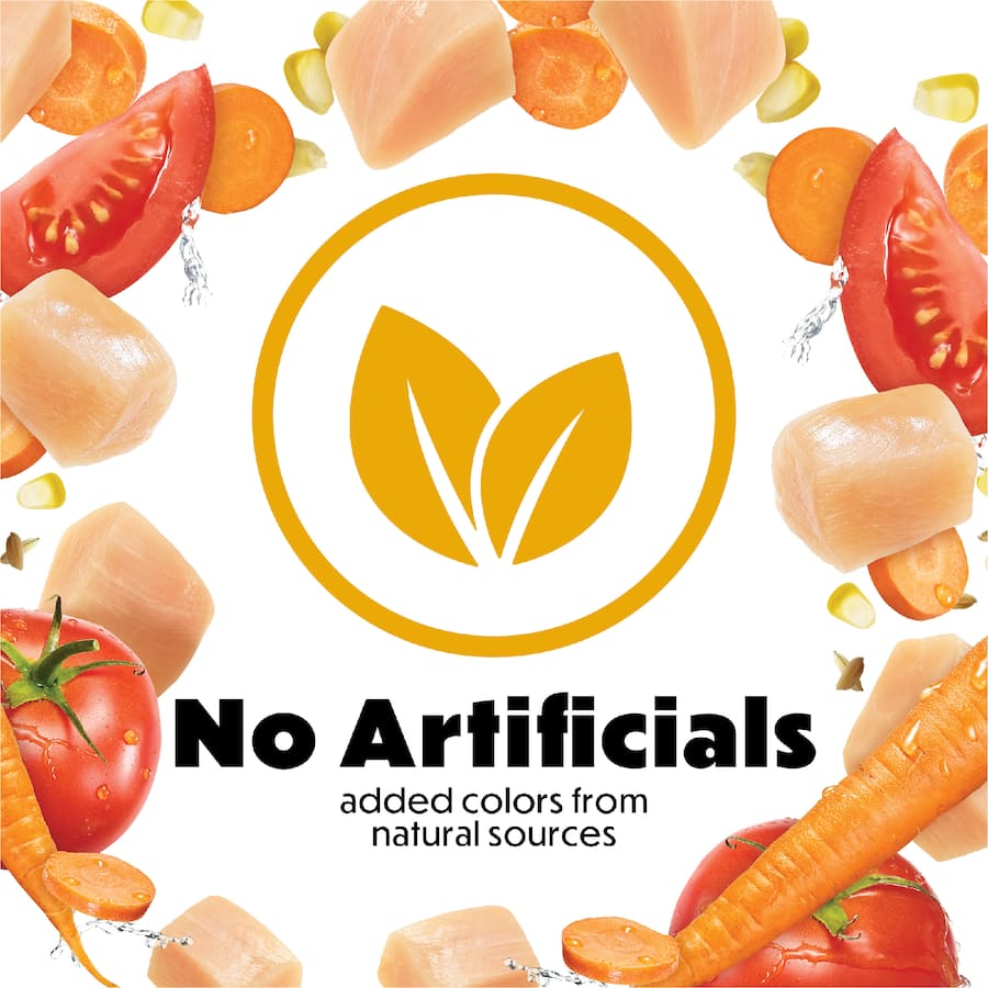 Purina Beneful Dry Dog Food Chicken Bag 1.59kg