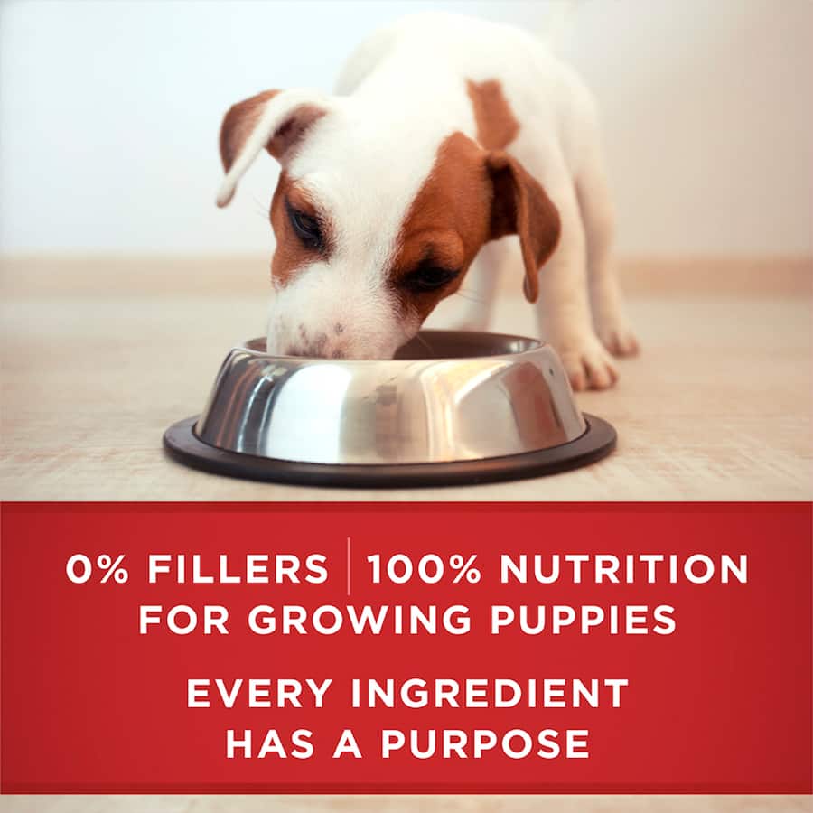 Purina One Puppy Wet Dog Food Lamb & Rice Can 368g