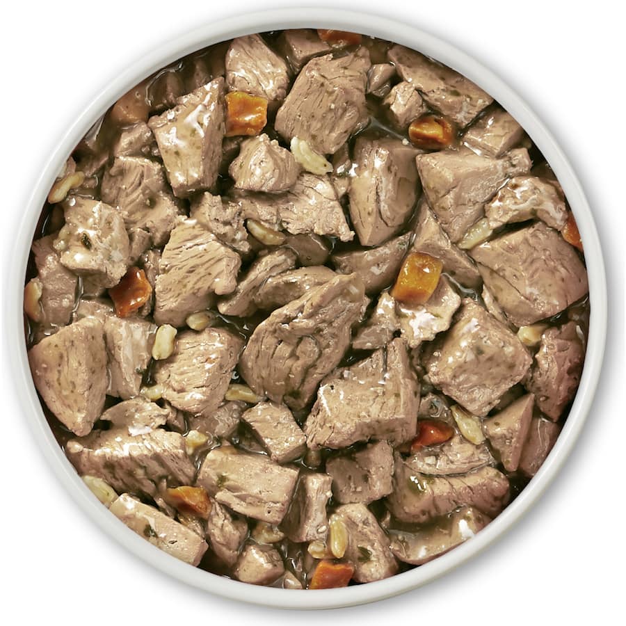 Purina One Wet Dog Food Tender Cuts Chicken In Gravy Can 368g