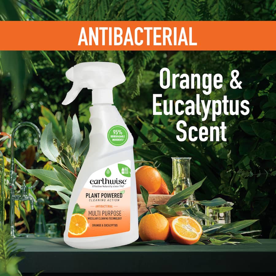 Earthwise Antibacterial Cleaning Spray Orange & Eucalyptus 500mL