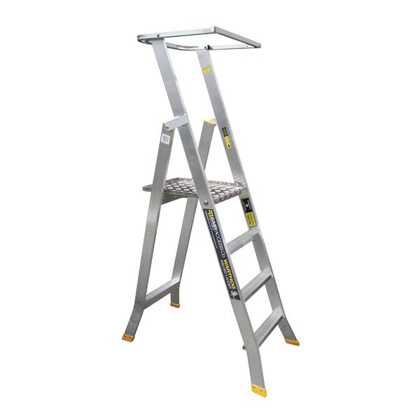 Easy Access Warthog Ladder Full Surround Handrail