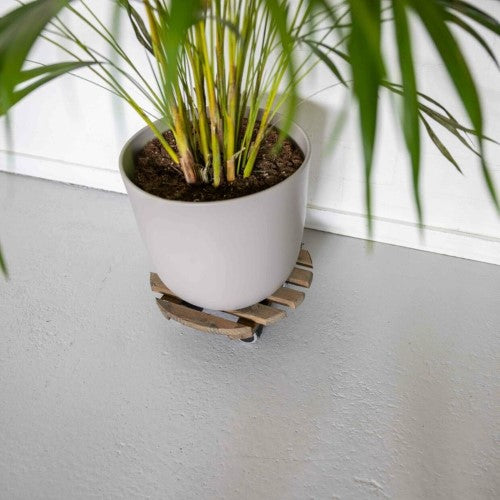 Indoor Plant Trolley - Round Brown (Set of 2)
