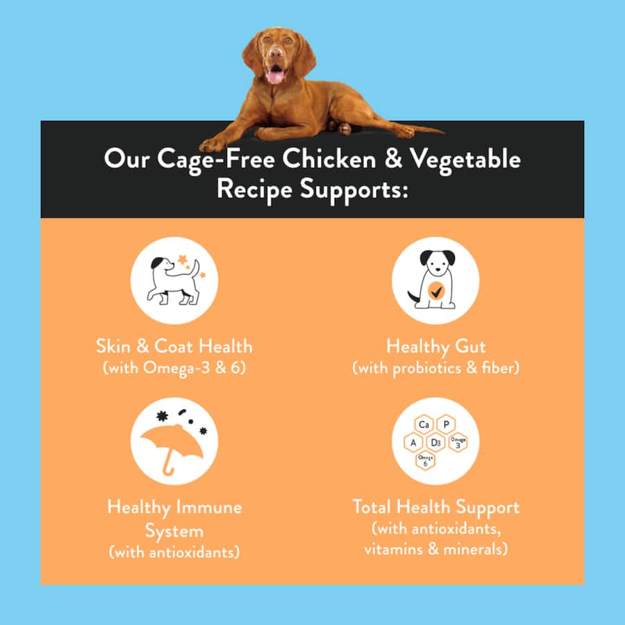 Nood Dry Dog Food Cage Free Chicken Recipe Bag 3kg