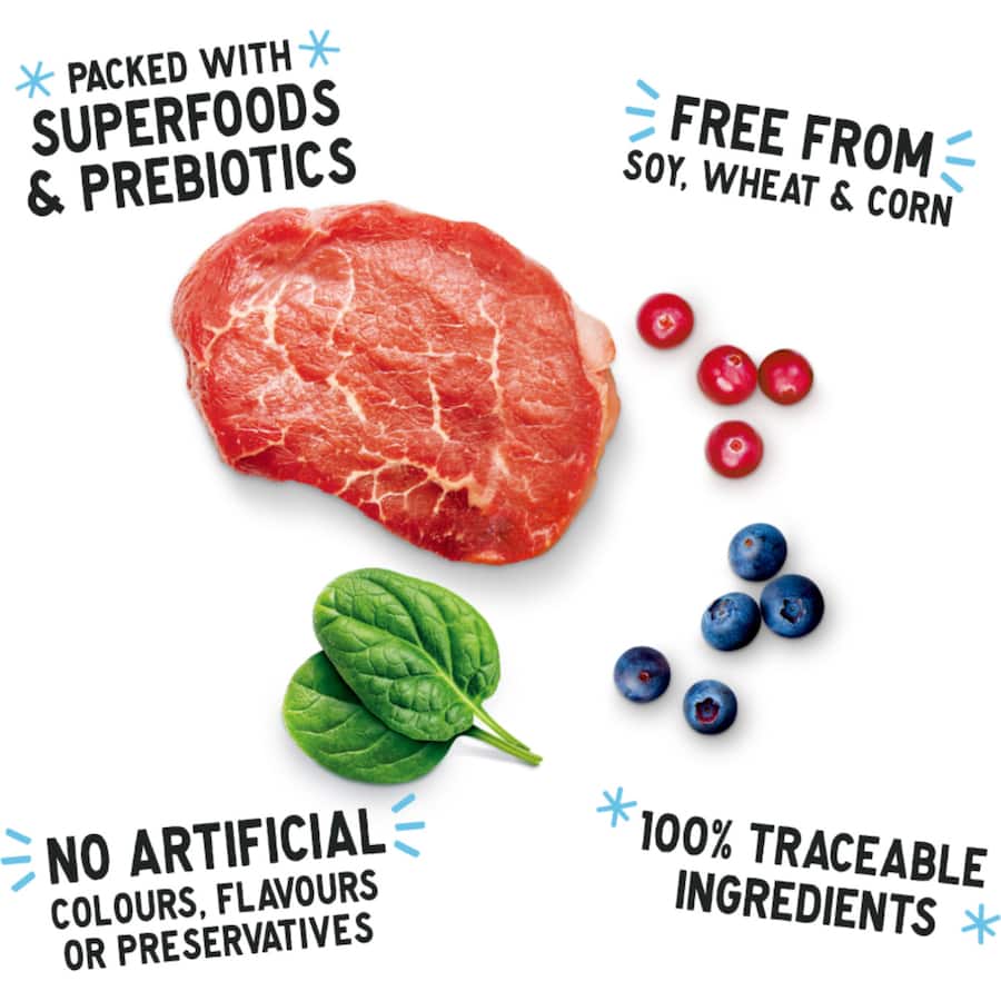 Nood Wet Dog Food Grass Fed Beef In Gravy Pouches 12x100g