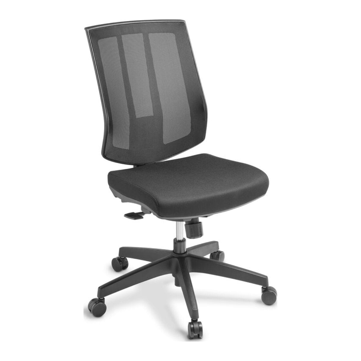 Eden Rally Mesh Back Task Chair Black Fabric