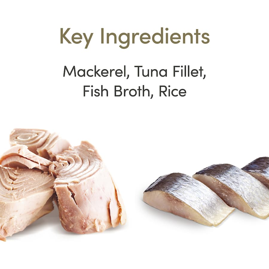 Applaws Wet Cat Food Ocean Fish In Broth Tin 70g