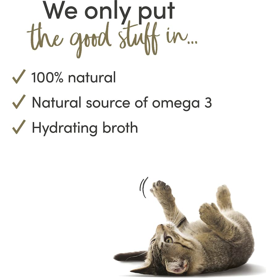 Applaws Wet Cat Food Ocean Fish In Broth Tin 70g