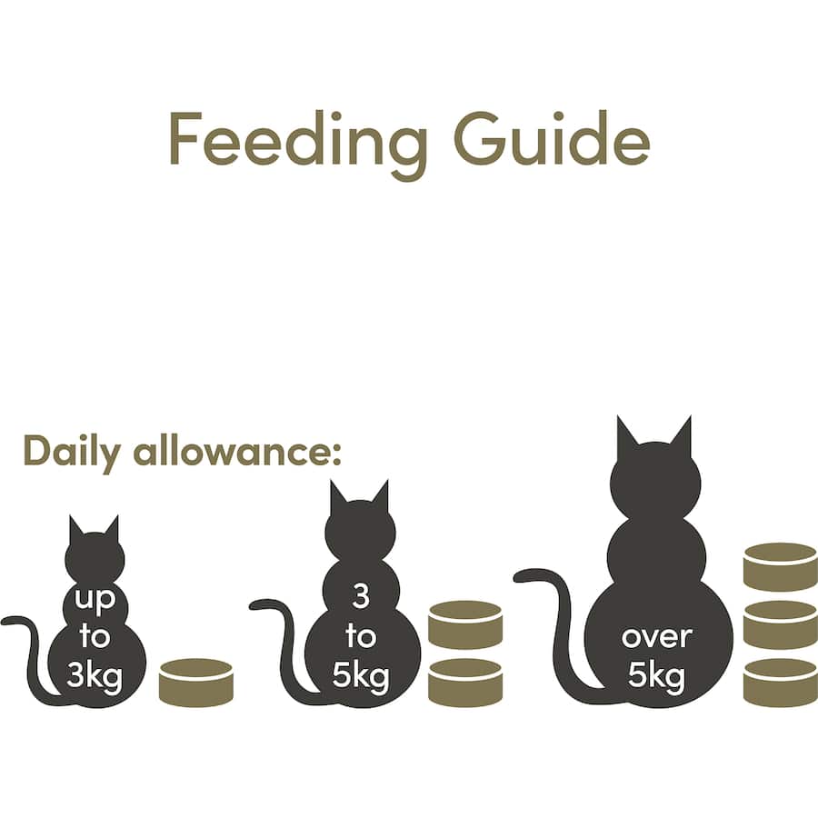 Applaws Wet Cat Food Ocean Fish In Broth Tin 70g