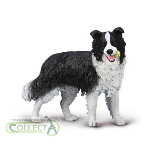 Figurine - CollectA Border Collie