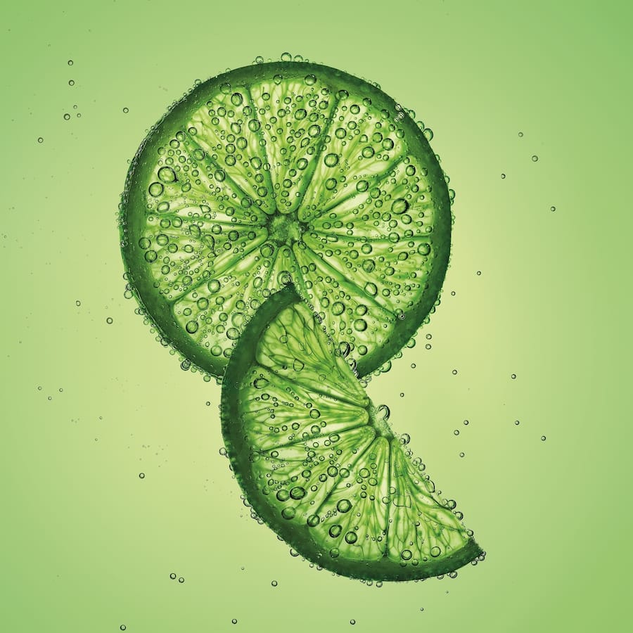 Garnier Fructis Conditioner Normal Hair 315mL