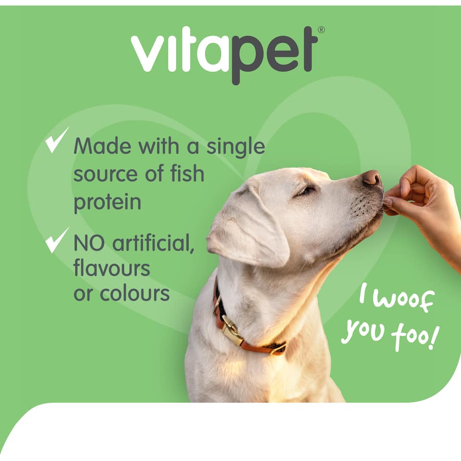 Vitapet Dog Treats Salmon Sticks 80g