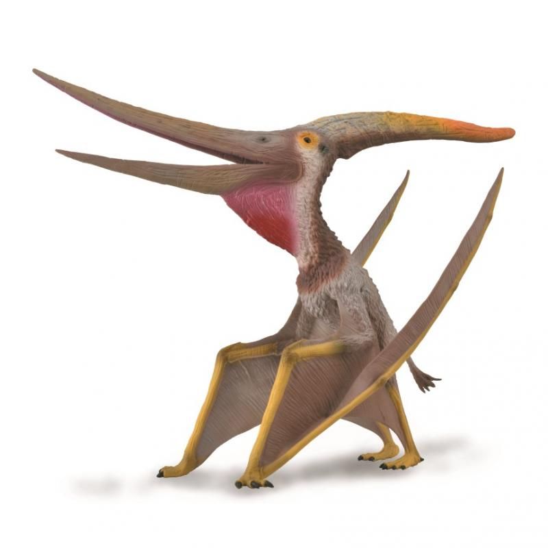 CollectA Pteranodon with Movable Jaw - Deluxe 1:40 Scale