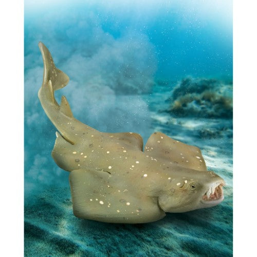 Figurine - CollectA Angel Shark (Medium)
