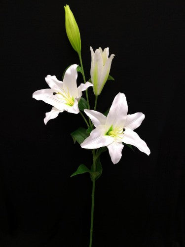 Lily Spray (White)