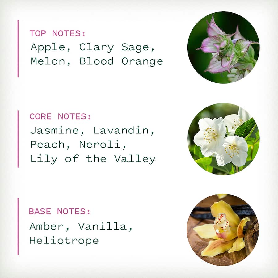 Air Wick Botanica Candle Scented French Sage 250g