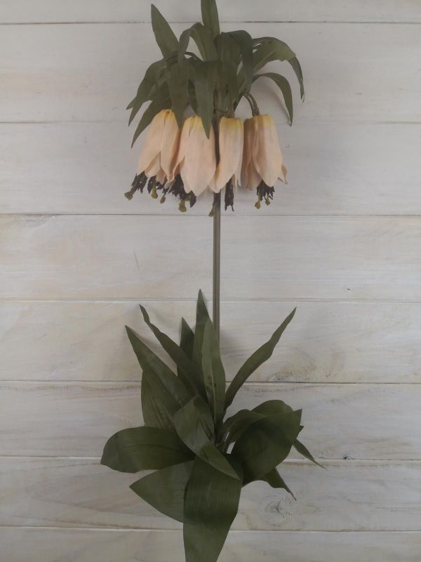 Artificial Flower Spray - Single Autunm Bellflower (Champagne)