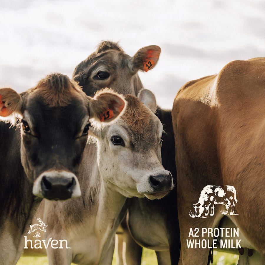 Haven A2 Stage 3 Toddler Milk Drink From 12+ Months 800g