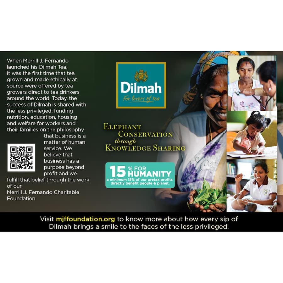 Dilmah Green Tea With Cinnamon & Turmeric 20 pack