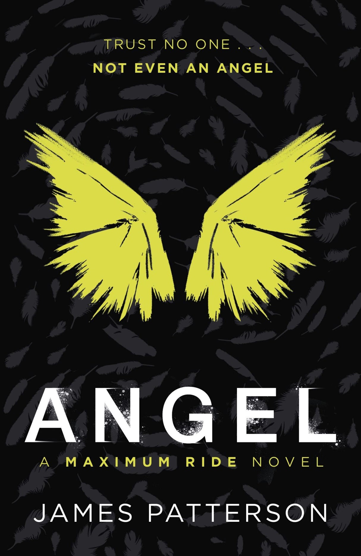 Angel: A Maximum Ride Novel
