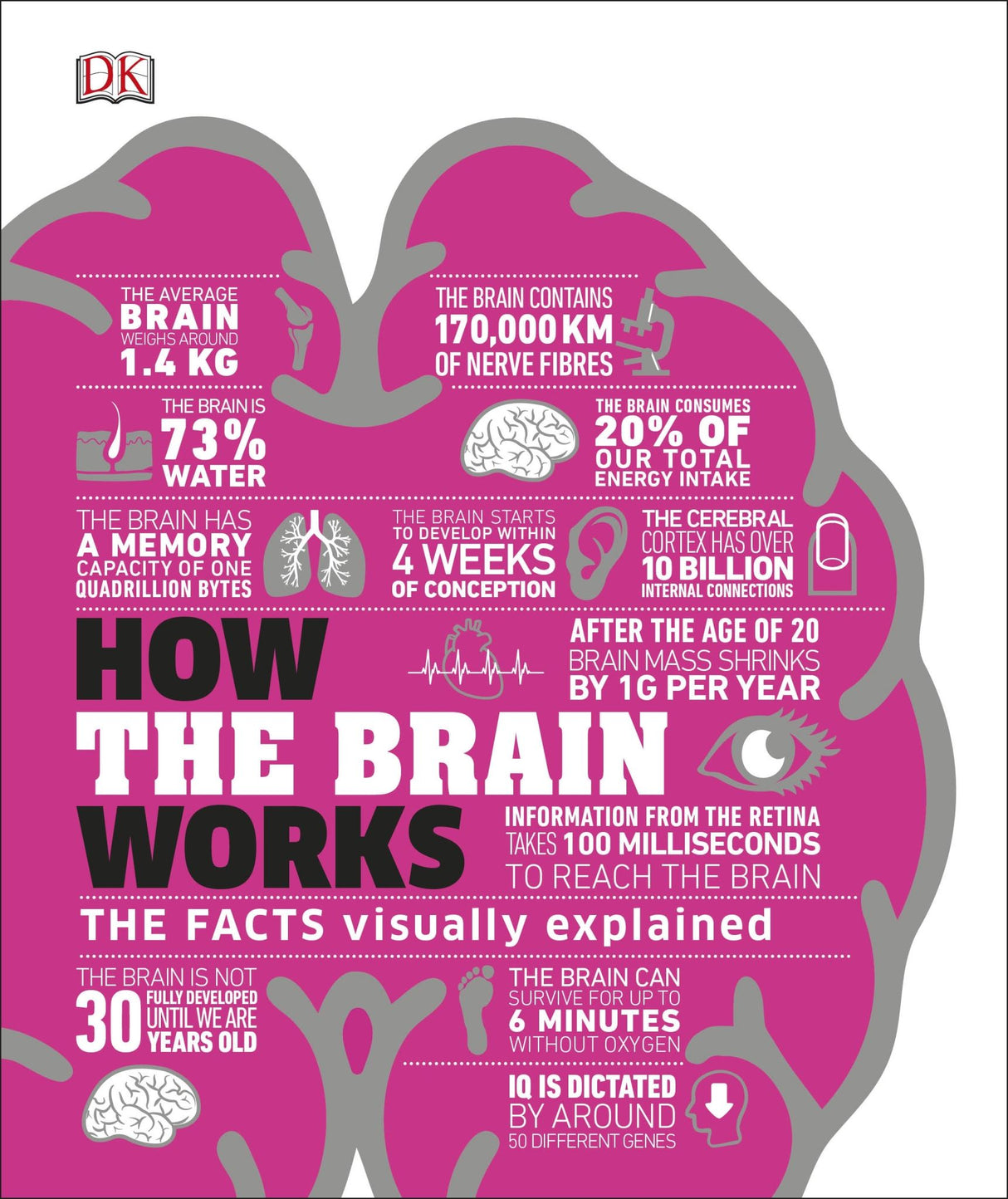 How the Brain Works