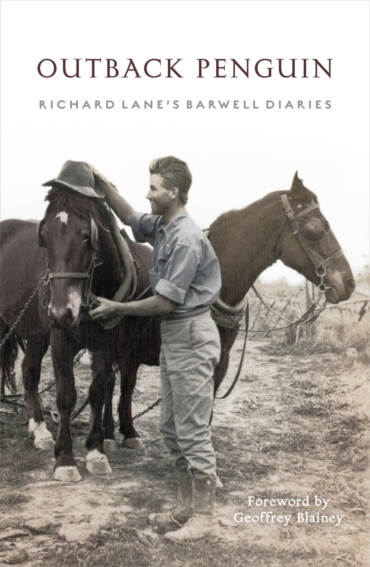Outback Penguin: Richard Lane's Barwell Diaries